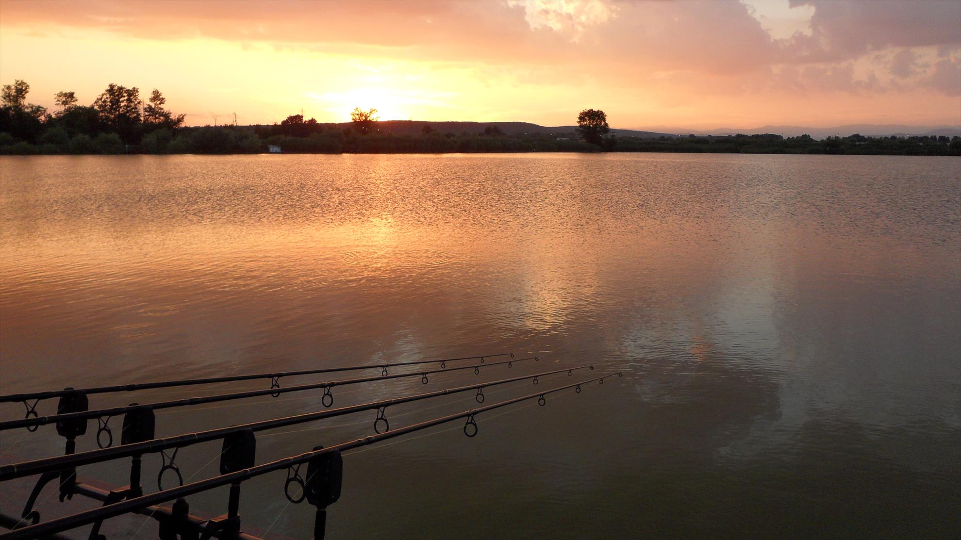 Pleasa 2013 - sam2477.JPG